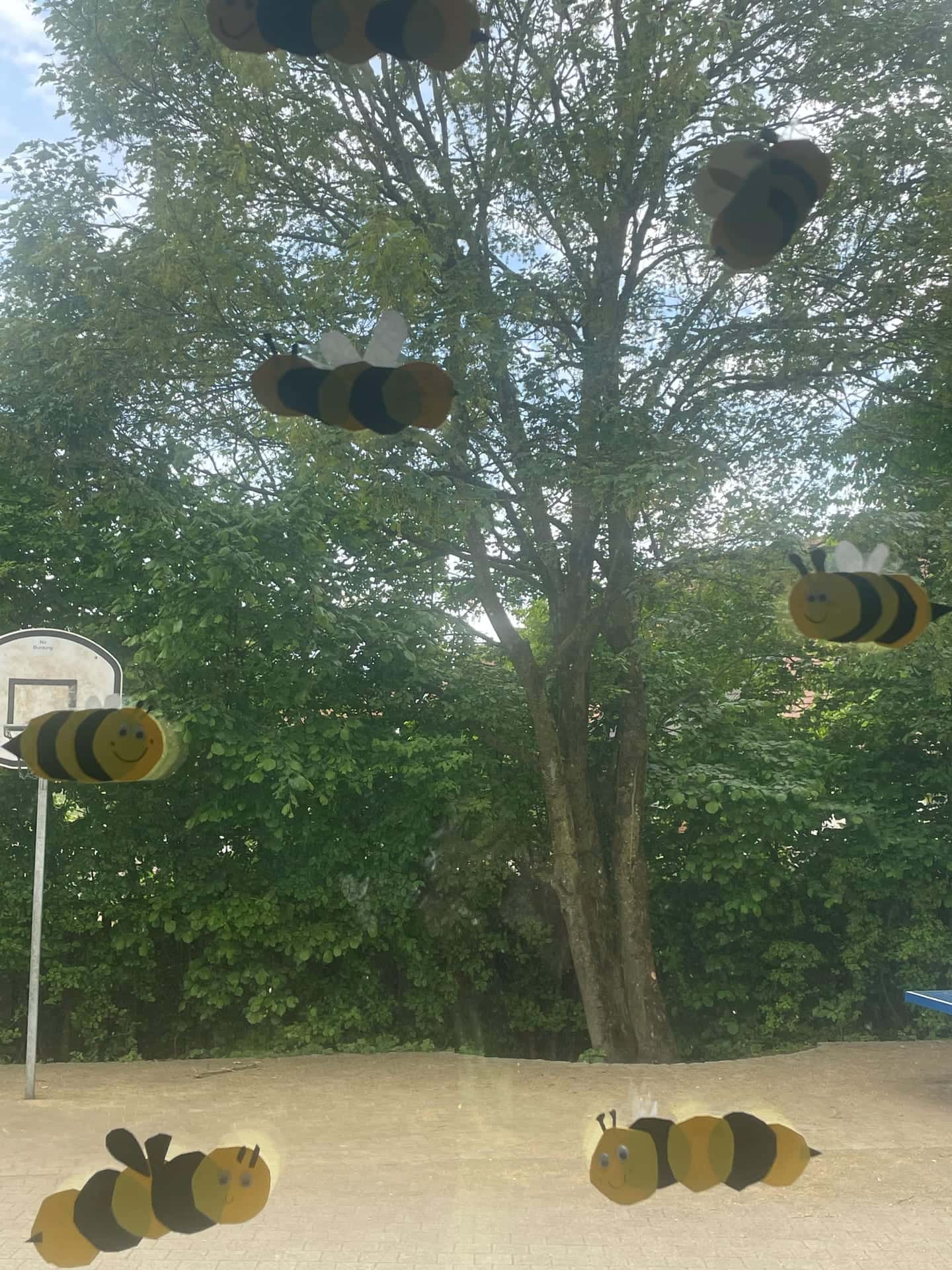 Frühlingsbasteln 2026 - Gebastelte Bienen am Fenster mit Blick auf den Schulhof