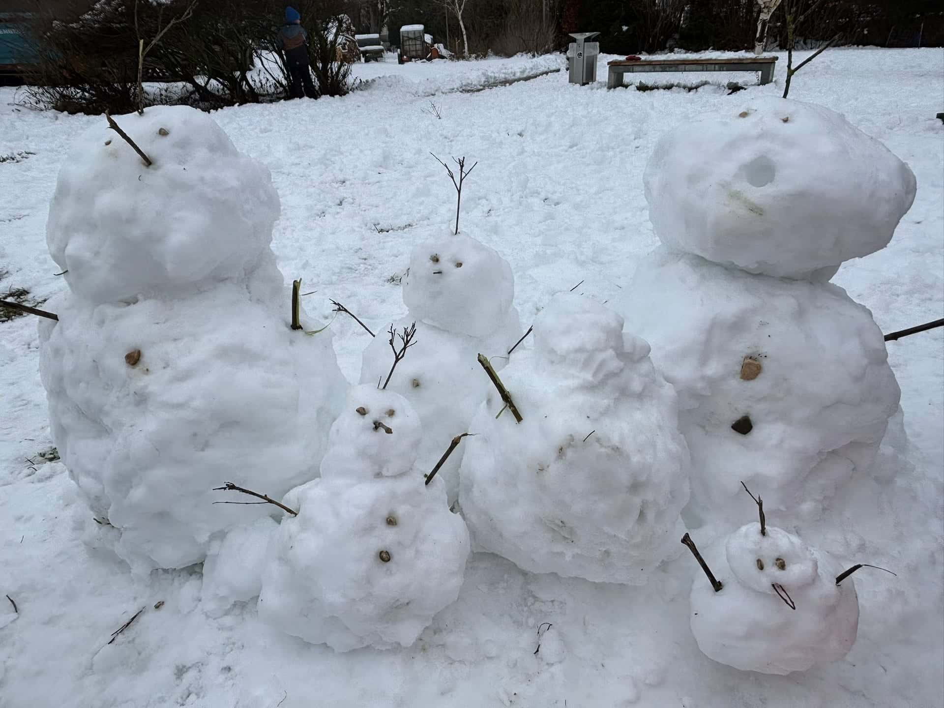 Schneetag 2026 - Gruppe selbstgebauter Schneemänner verschiedener Größen