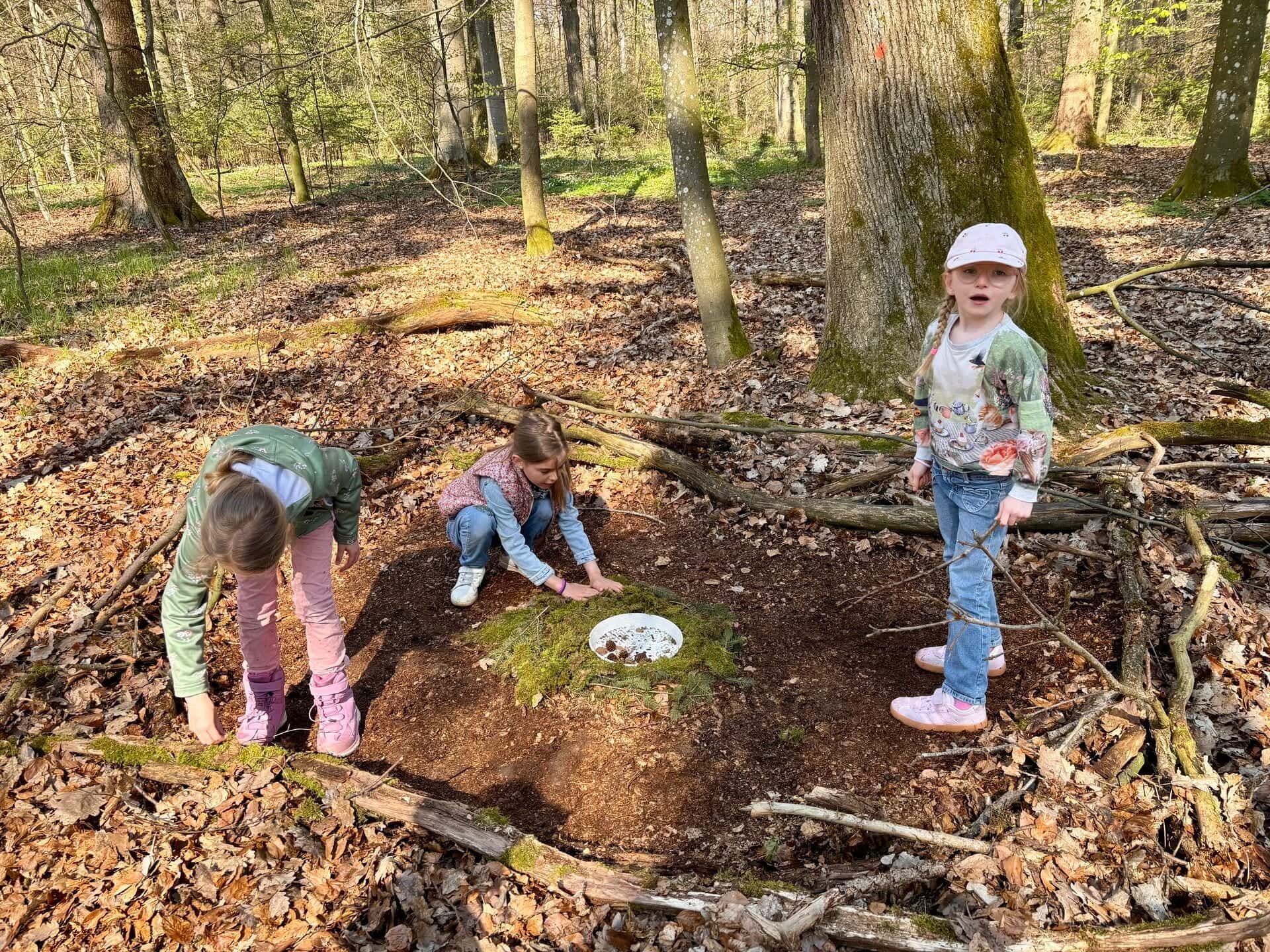 Waldpädagogik 2026 - Mädchen bauen ein Nest aus Moos und Erde im Wald