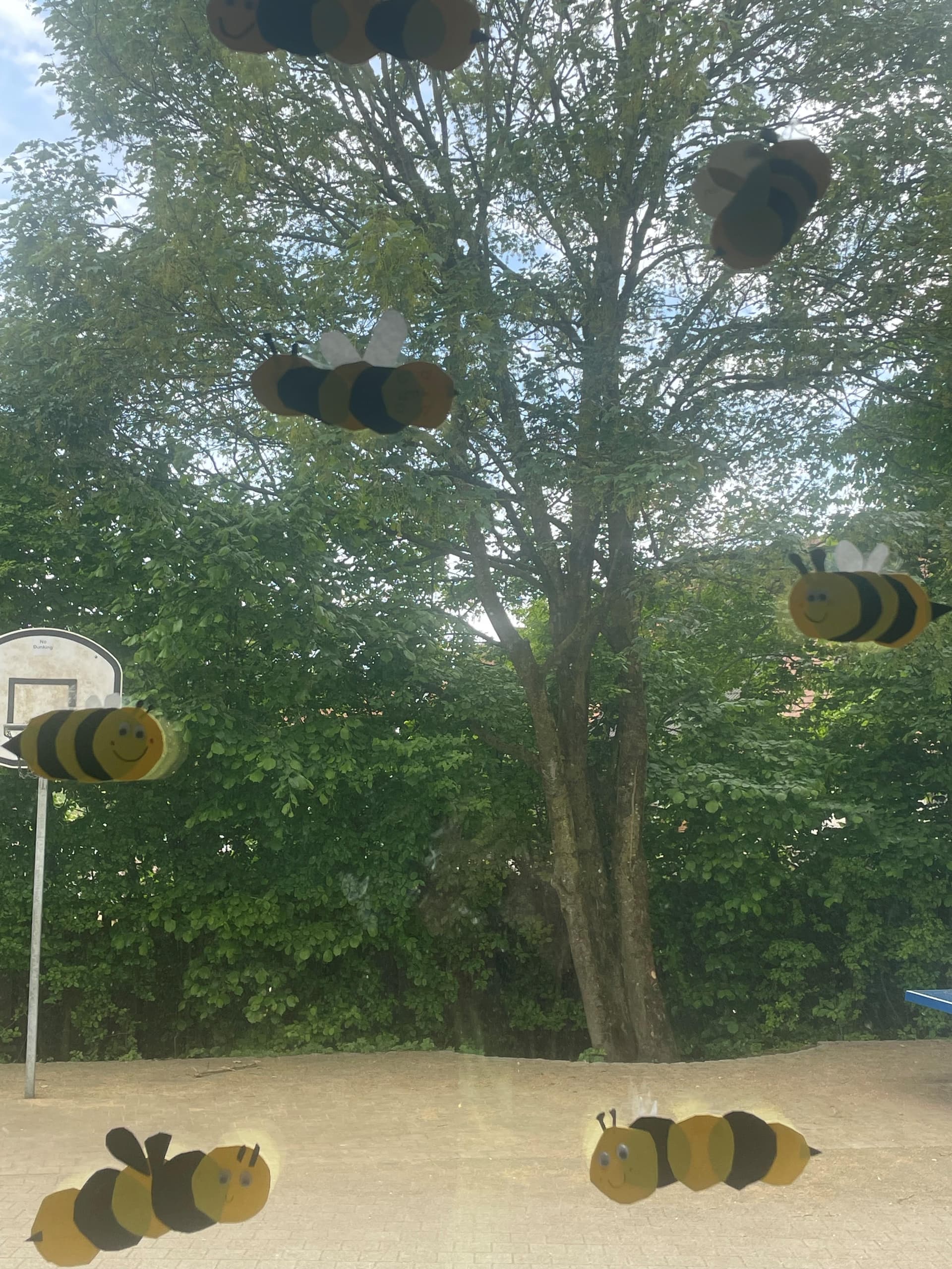 Frühlingsbasteln 2026 - Gebastelte Bienen am Fenster mit Blick auf den Schulhof