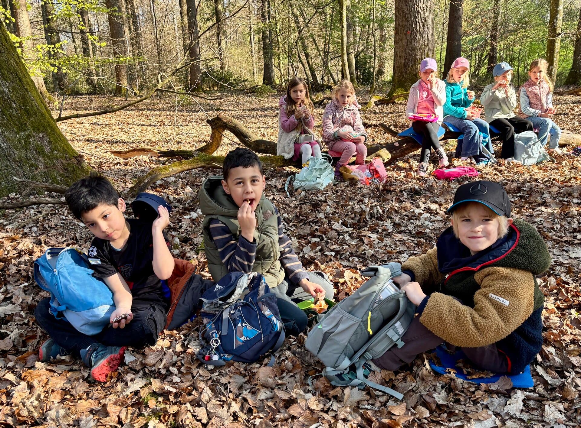 Waldpädagogik 2026 - Klasse 1 macht eine Vesperpause auf einem umgestürzten Baum im Wald